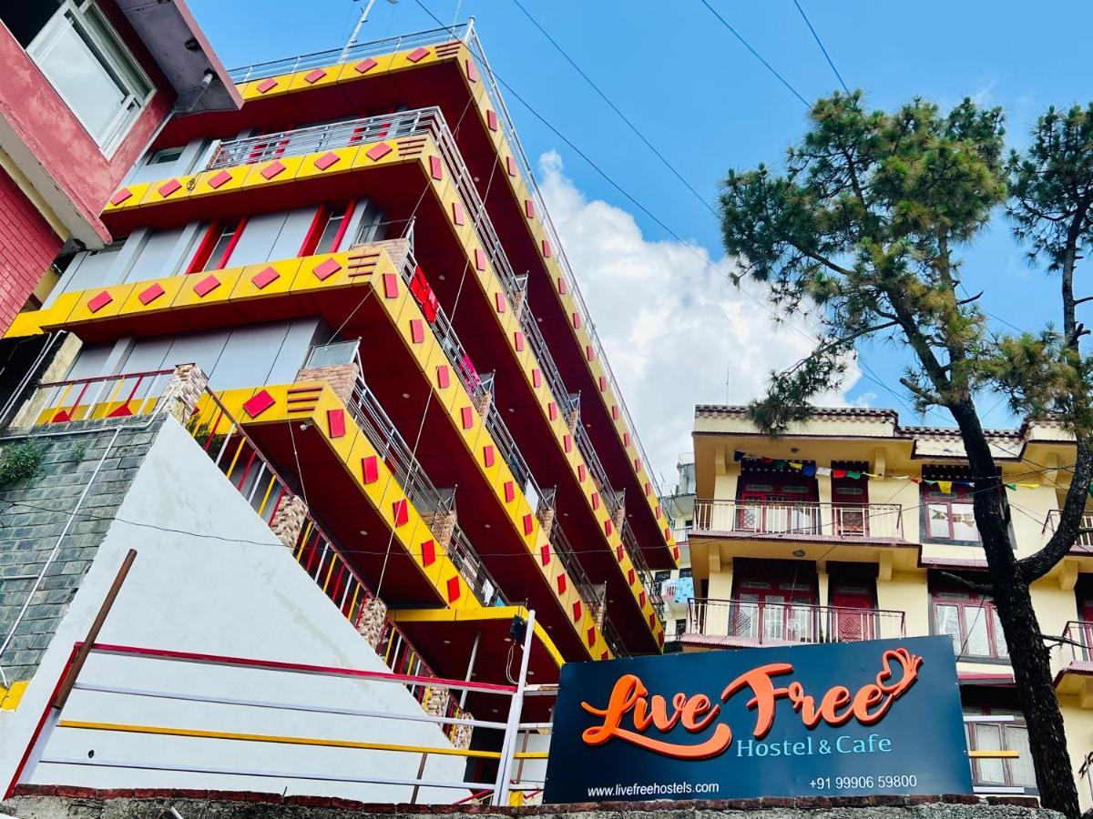 Live Free Hostel, Mcleodganj McLeod Ganj Dış mekan fotoğraf