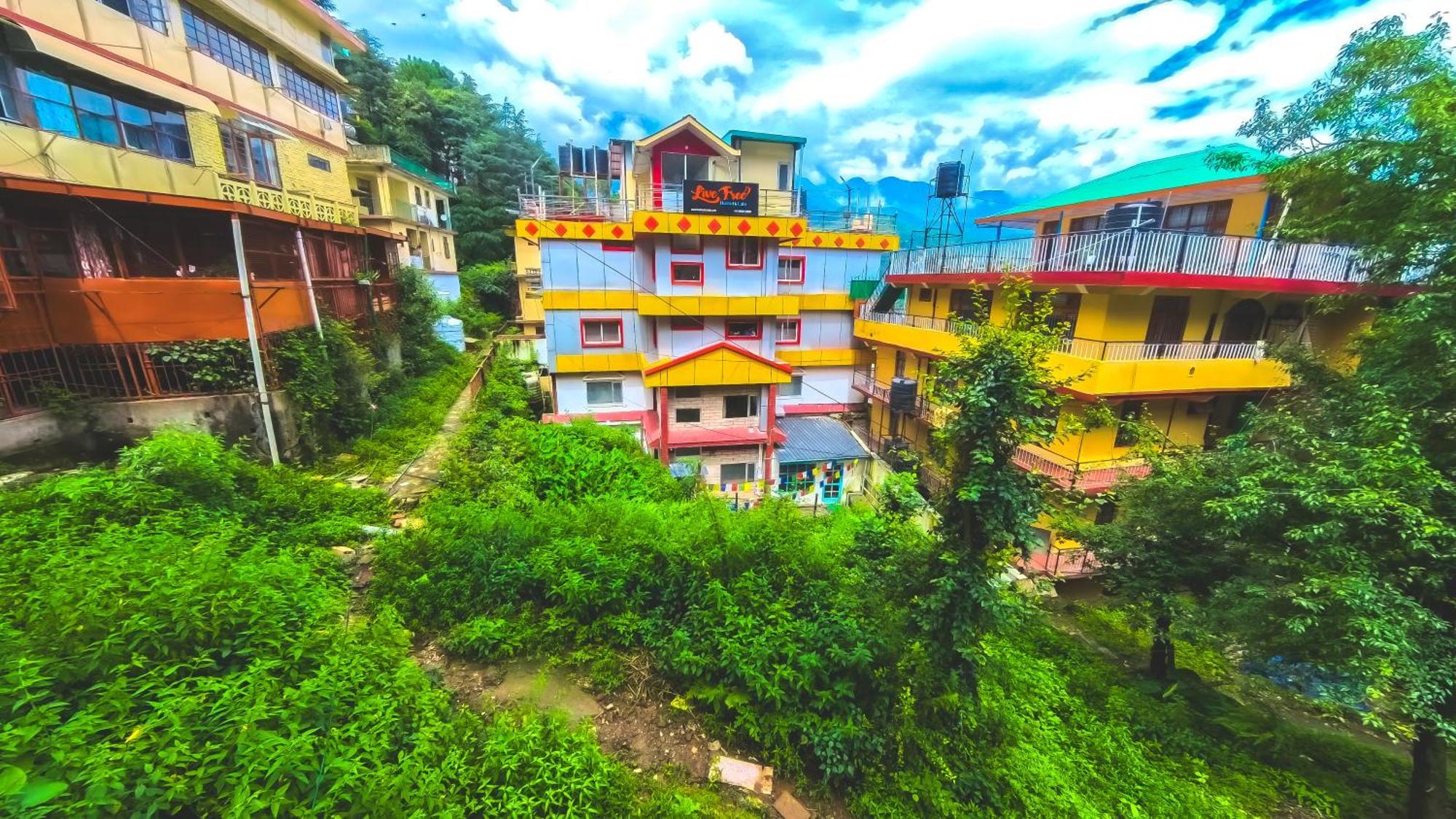 Live Free Hostel, Mcleodganj McLeod Ganj Dış mekan fotoğraf